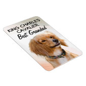King Charles Cavalier Best Grandad Magnet Magneet (Rechterzijde)