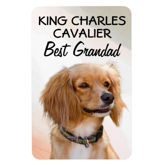 King Charles Cavalier Best Grandad Magnet Magneet (Verticaal)