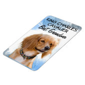 King Charles Cavalier Best Grandma Magnet Magneet (Linkerzijde)