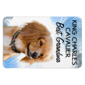 King Charles Cavalier Best Grandma Magnet Magneet (Horizontaal)