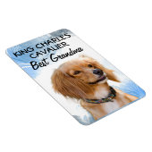 King Charles Cavalier Best Grandma Magnet Magneet (Rechterzijde)