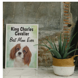 King Charles Cavalier Best Mam Poster