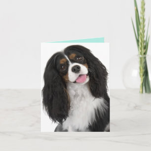 King Charles Cavalier- Note Card Kaart