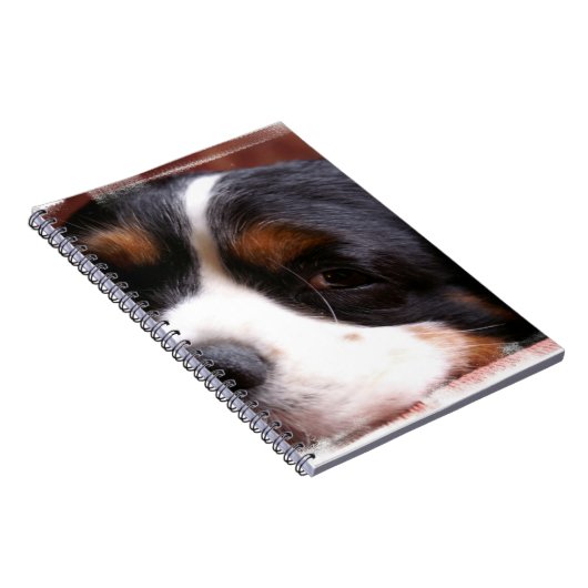 King Charles Cavalier notebook Notitieboek (Rechterzijde)
