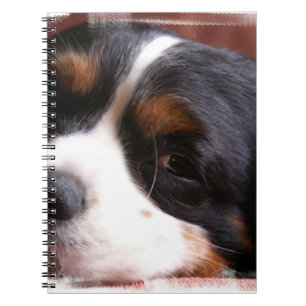 King Charles Cavalier notebook Notitieboek