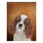 King Charles Cavalier Poster (Voorkant)