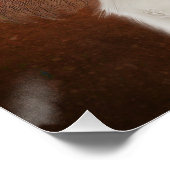 King Charles Cavalier Poster (Hoek)