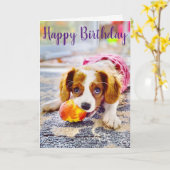 King Charles Cavalier Puppy Wenskaart Kaart (Gele Bloem)