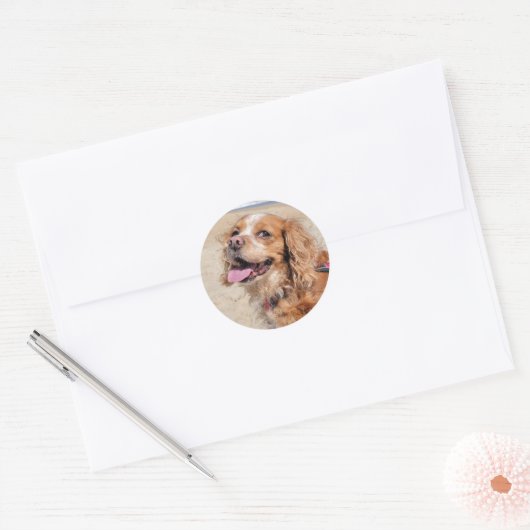 King Charles Cavalier  Ronde Sticker (Envelop)