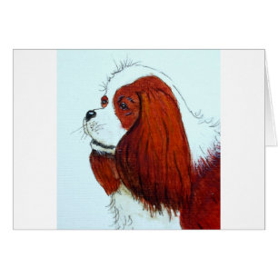 King Charles Cavalier Spaniel