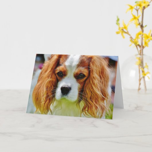 King Charles Cavalier Spaniel Birthday Card Kaart (Gele Bloem)