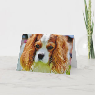 King Charles Cavalier Spaniel Birthday Card Kaart