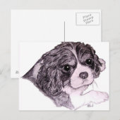 King Charles Cavalier Spaniel Briefkaart (Voorkant / Achterkant)