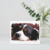 King Charles Cavalier Spaniel Briefkaart (Staand voorkant)