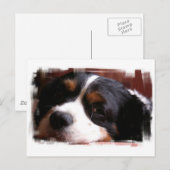 King Charles Cavalier Spaniel Briefkaart (Voorkant / Achterkant)