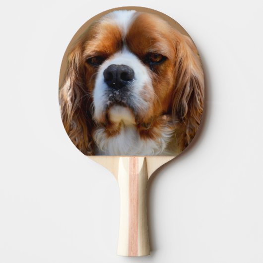 King Charles Cavalier Spaniel Face Tafeltennisbatje (Voorkant)