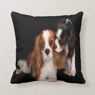 King Charles Cavalier Spaniel Kussen