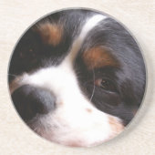 King Charles Cavalier Spaniel Onderzetters (Voorkant)