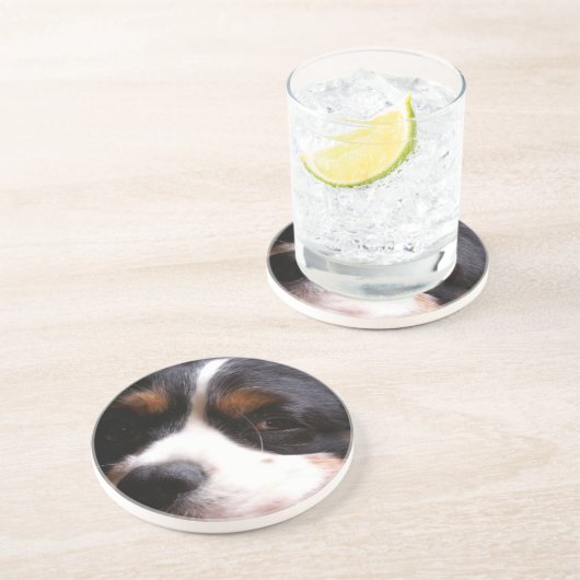 King Charles Cavalier Spaniel Onderzetters (Zijkant)