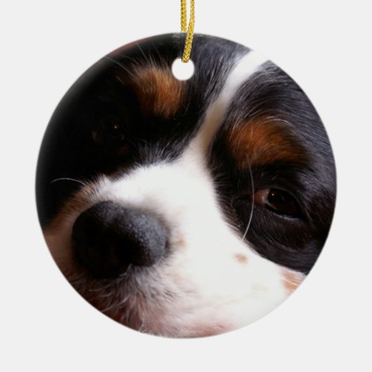 King Charles Cavalier Spaniel Ornament (Voorkant)