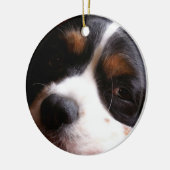 King Charles Cavalier Spaniel Ornament (Links)