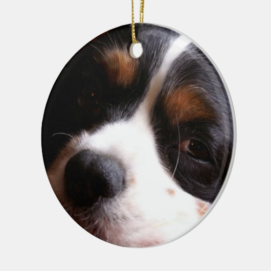 King Charles Cavalier Spaniel Ornament (Links)
