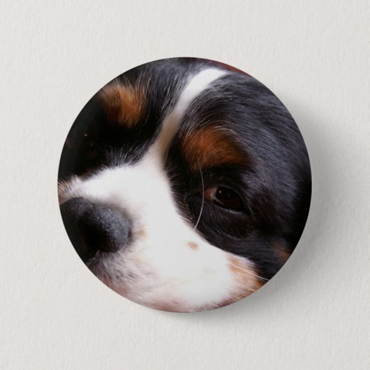King Charles Cavalier Spaniel Round Button (Voorkant)