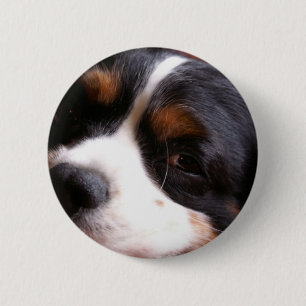 King Charles Cavalier Spaniel Round Button