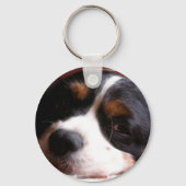 King Charles Cavalier Spaniel Sleutelhanger (Voorkant)