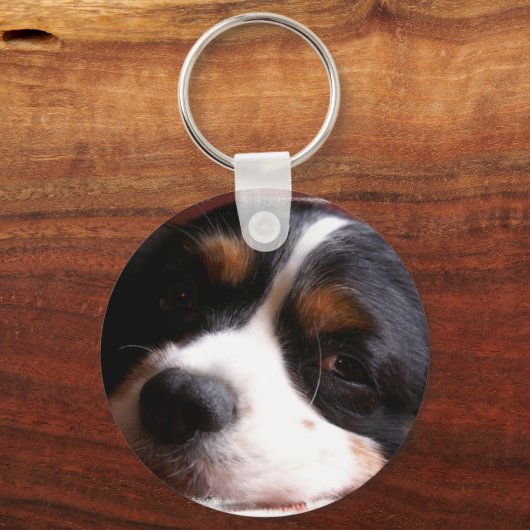 King Charles Cavalier Spaniel Sleutelhanger (Voorkant)