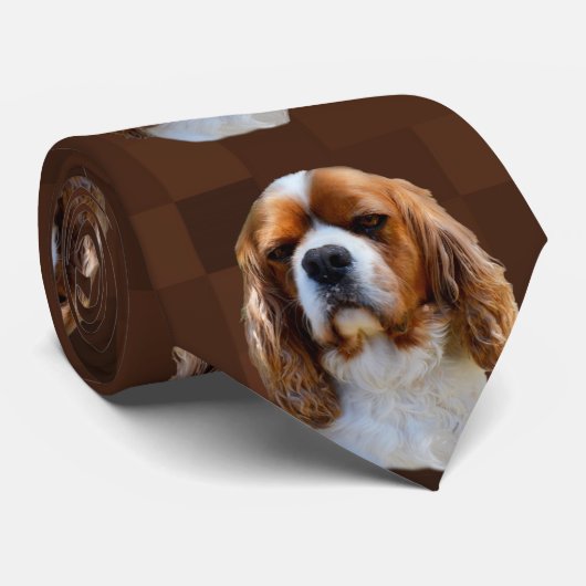 King Charles Cavalier Spaniel Stropdas (Opgerold)