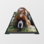 King Charles Cavalier Spaniel, Window Cling Raamsticker (Vel)