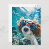 King Charles Cocker Spaniel driving in ocean Feestdagenkaart (Voorkant / Achterkant)