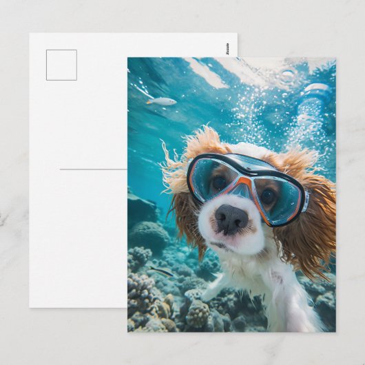 King Charles Cocker Spaniel driving in ocean Feestdagenkaart (Voorkant / Achterkant)