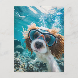 King Charles Cocker Spaniel driving in ocean Feestdagenkaart