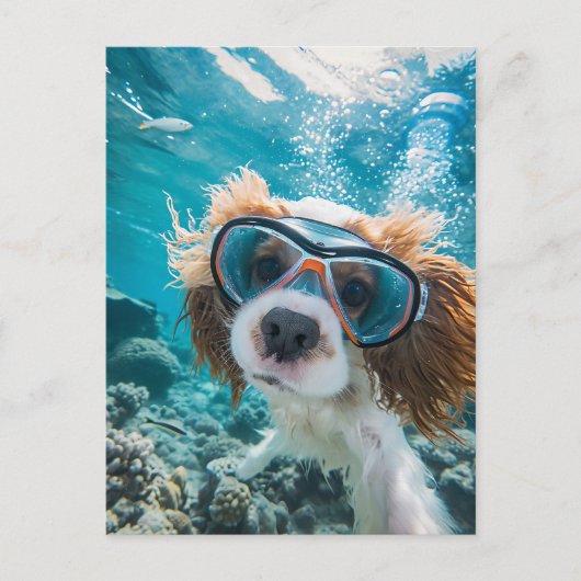 King Charles Cocker Spaniel driving in ocean Feestdagenkaart (Voorkant)