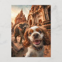 King Charles Cocker Spaniel in Ankor tempel Feestdagenkaart