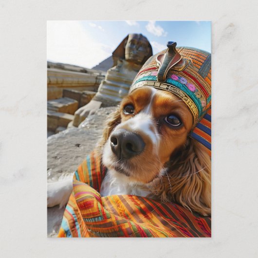 King Charles Cocker Spaniel in Egypt Feestdagenkaart (Voorkant)