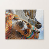 King Charles Cocker Spaniel in Egypte Legpuzzel (Horizontaal)