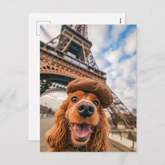 King Charles Cocker Spaniel in Paris Feestdagenkaart (Voorkant / Achterkant)