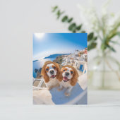 King Charles Cocker Spaniel in Santorini Feestdagenkaart (Staand voorkant)