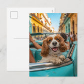 King Charles Cocker Spaniel maakt selfies in Cuba Feestdagenkaart (Voorkant / Achterkant)