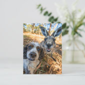 King Charles Cocker Spaniel maakt selfies over de Feestdagenkaart (Staand voorkant)