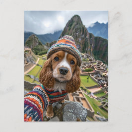 King Charles Cocker Spaniel maakt selfies over de  Feestdagenkaart