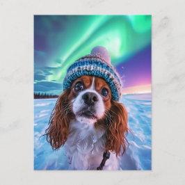 King Charles Cocker Spaniel met noorderlicht Feestdagenkaart