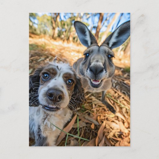 King Charles Cocker Spaniel Takes Selfies Across t Feestdagenkaart (Voorkant)