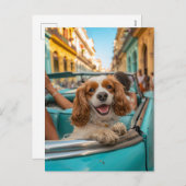 King Charles Cocker Spaniel Takes Selfies in Cuba Feestdagenkaart (Voorkant / Achterkant)