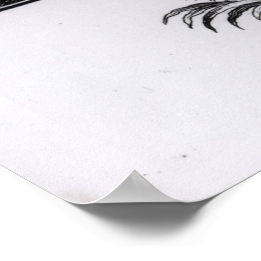 King Charles II Poster (Hoek)