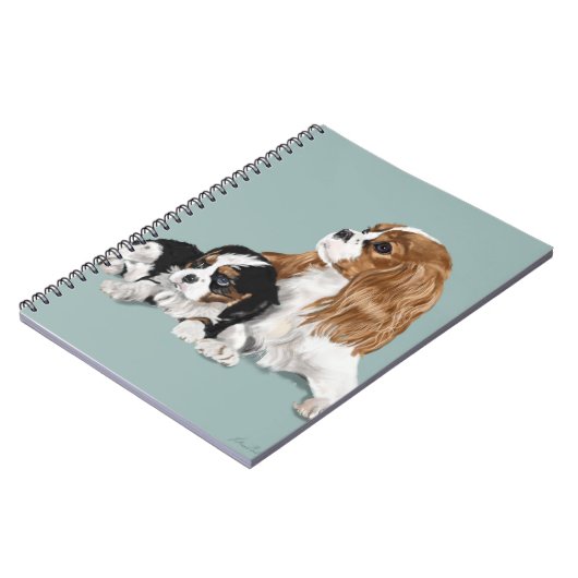 King Charles Notitieboek (Linkerzijde)