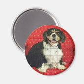 KING CHARLES SPANIAL MAGNEET (Voorkant / Achterkant)